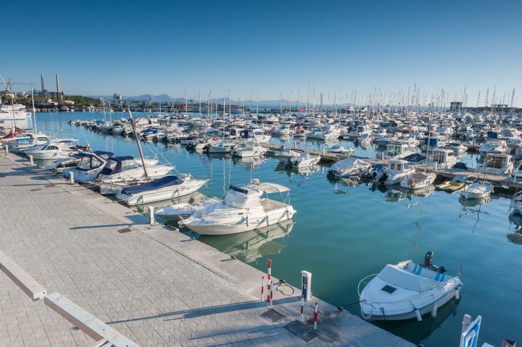 Martin Alcudia (Mallorca)
