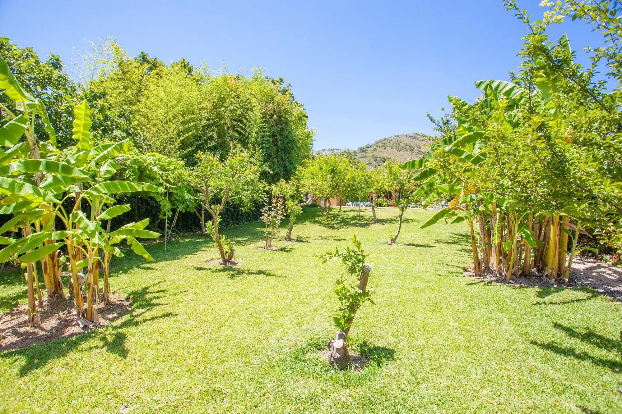Villa Martin *